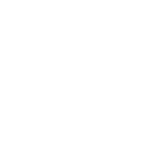 Bredemeijer